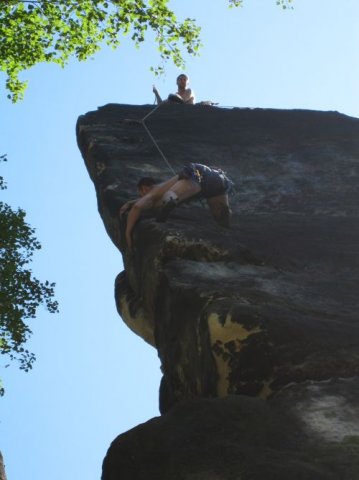 Heringsgrundscheibe-Klein aber fein